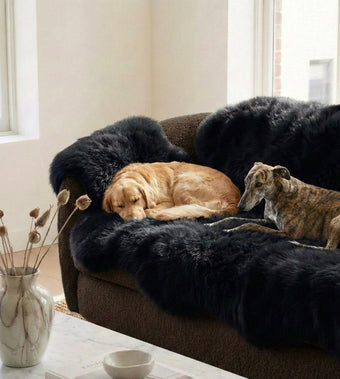 compare product Genuine Black Sheepskin Couch Cover for Dogs — Natural Sofa Protector (Plastic-Free)